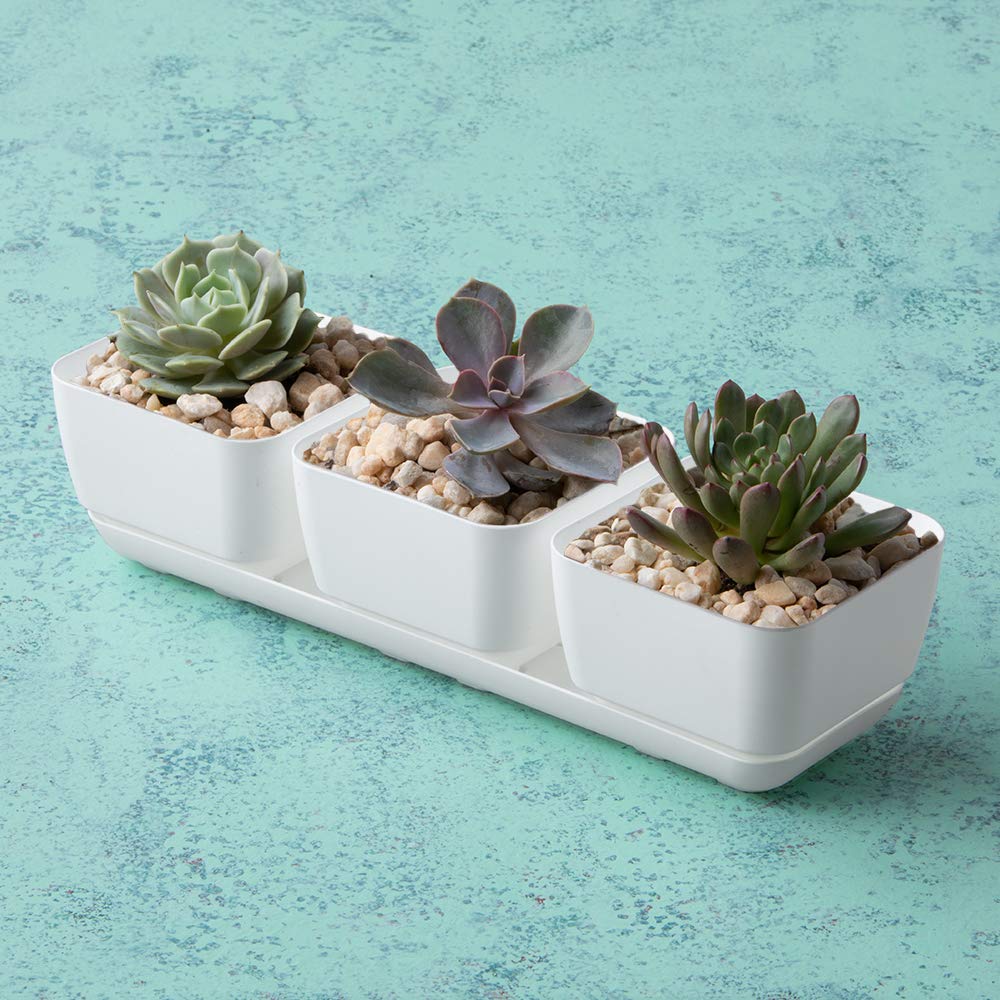 Amazon.com: Novelty 10012 Herb & Succulent Trio Planter, White
