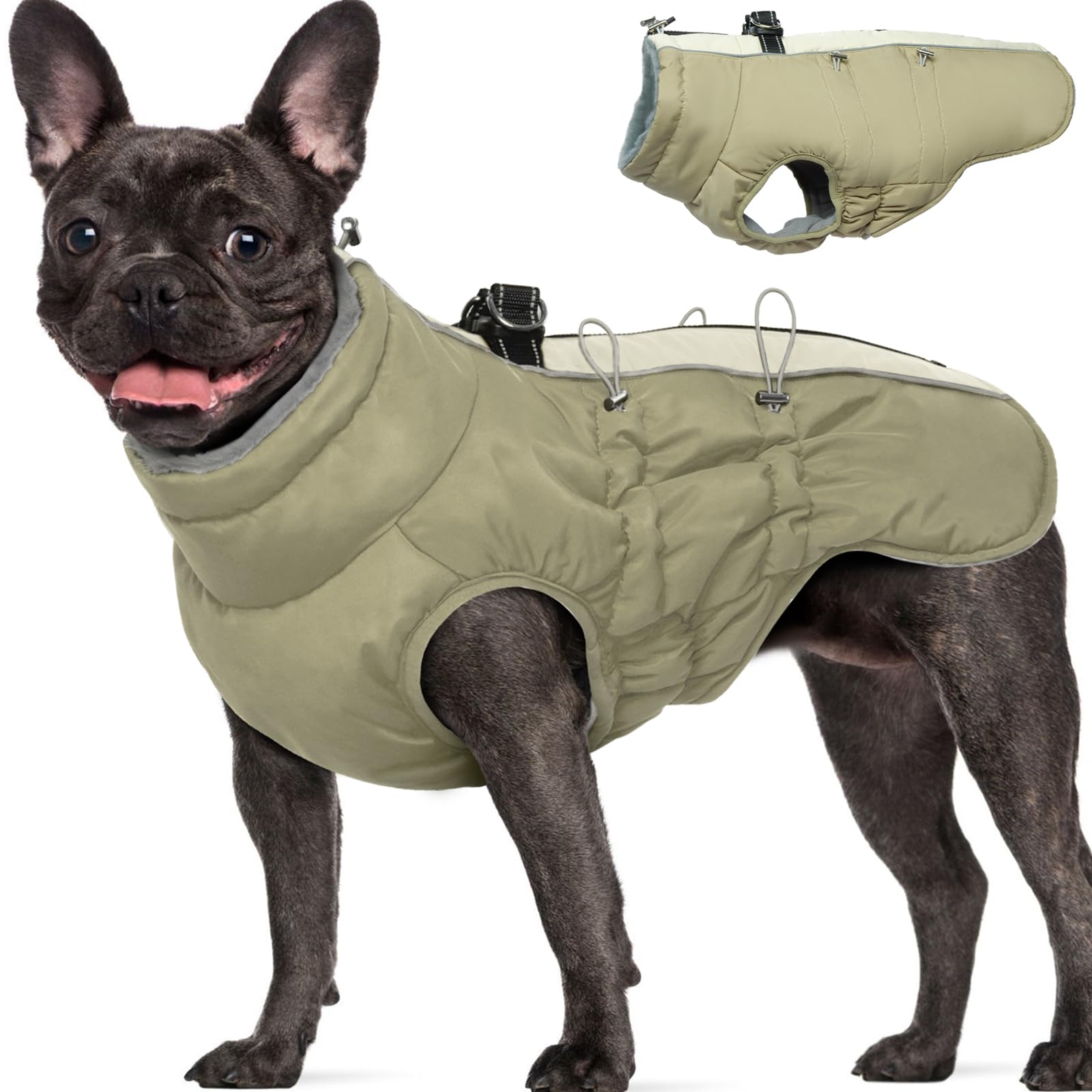 Cappotto invernale per cani grande, resistente all'acqua, riflettente, con pettorina e chiusura lampo antiscivolo, caldo e morbido, Border Collie, Dalmata, Albicocca, XL