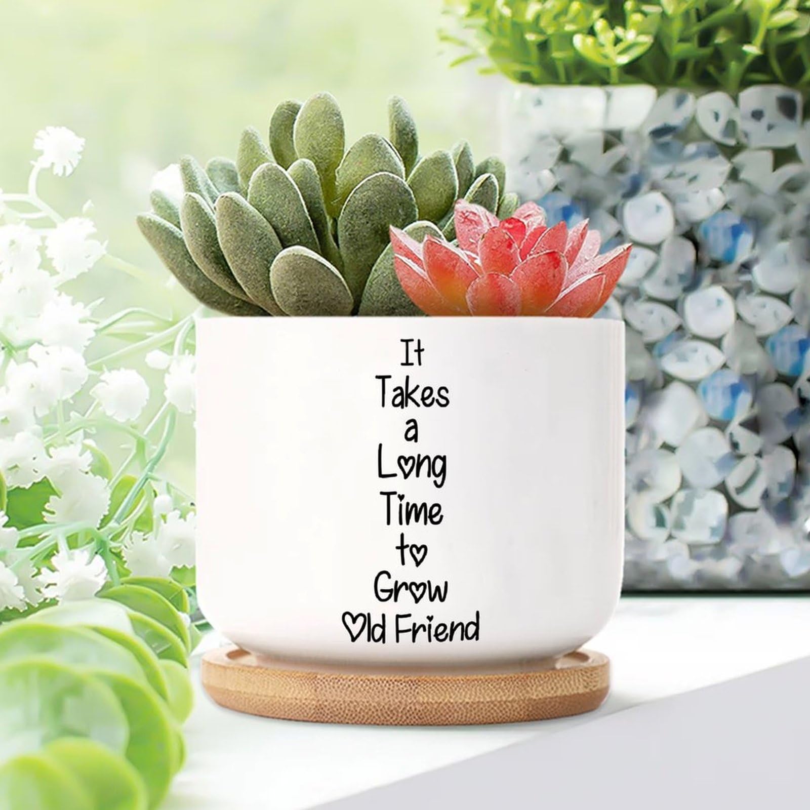 Yelolyio It Takes A Long Time to Grow An Old Friends Planters Ceramic Positive Motivational Round Flower Pots With Drainage Holes And Bamboo Tray Pot For Indoor Outdoor Garden