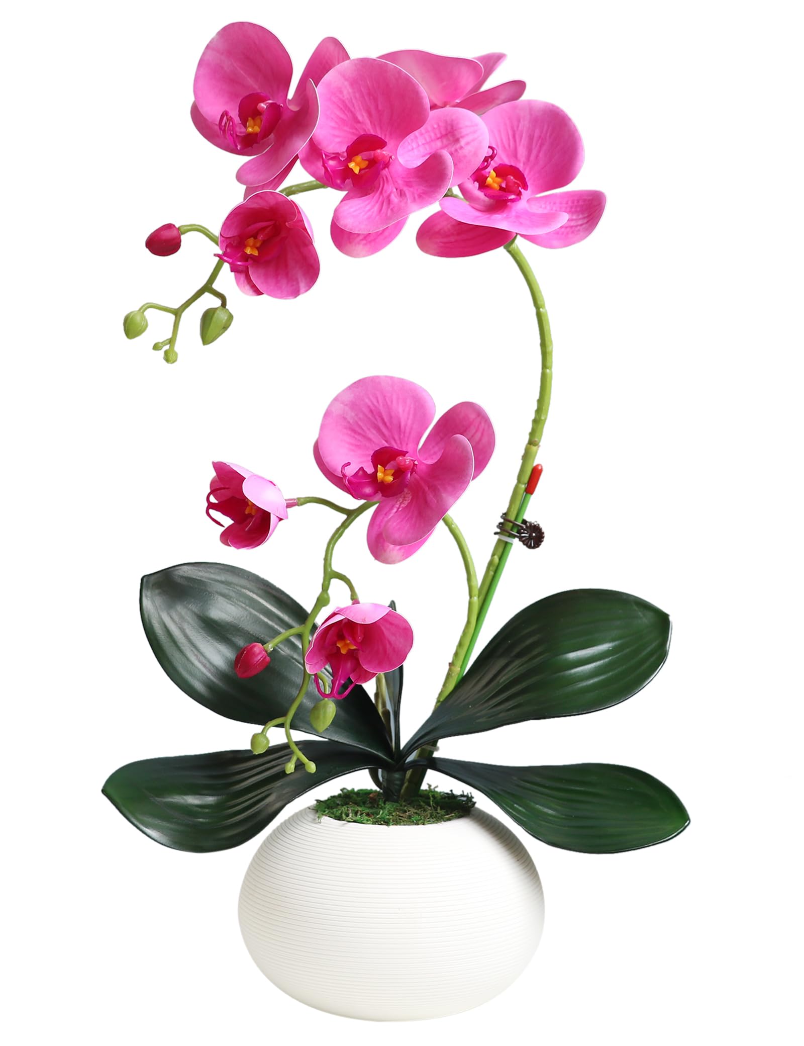 product_img5