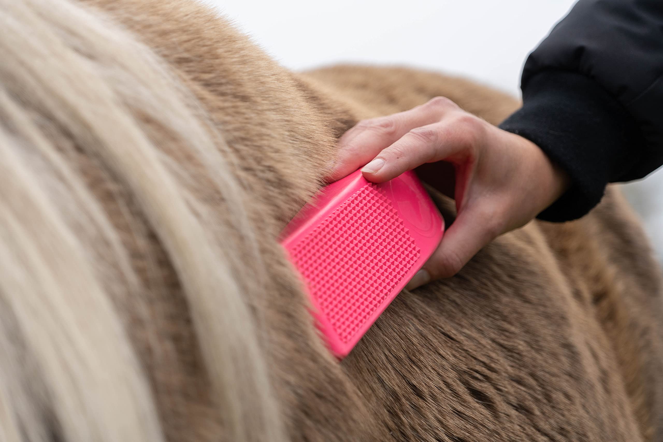 EXCELLENT Cepillos Para Caballo Excellent Horse Grooming Brush Negro
