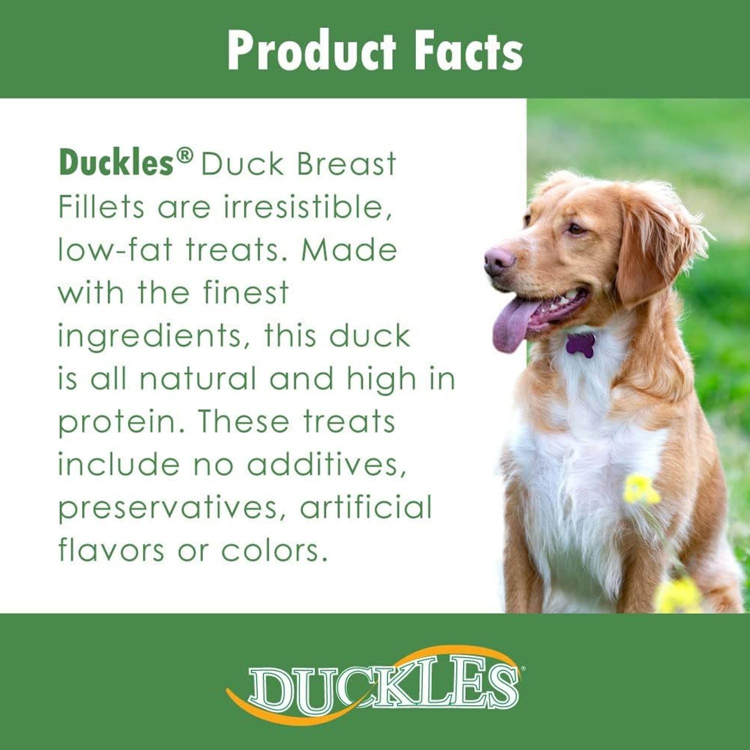 Duckles Duck Breast Fillets for Dogs - Tested Safe, Low Fat Duck Treats Natural - 100% Natural Duck High Protein No Preservatives Propylene Glycol Free, 1 lbs