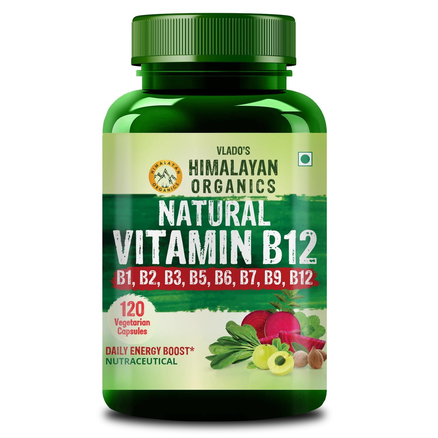 HIMALAYAN ORGANICS Plant Based Vitamin B12 Supplement | B1,B2,B3,B5,B6,B7,B9,Moringa| Boost Energy Level | Glowing Skin For Men & Women - 120 Vegetarian Capsules