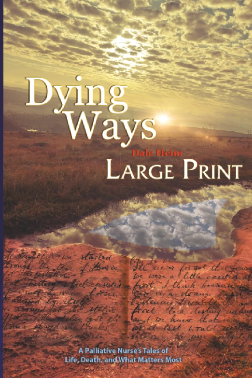 Dying Ways (Large Print): A Palliative Nurse's Tales of Life, Death, & What Matters Most