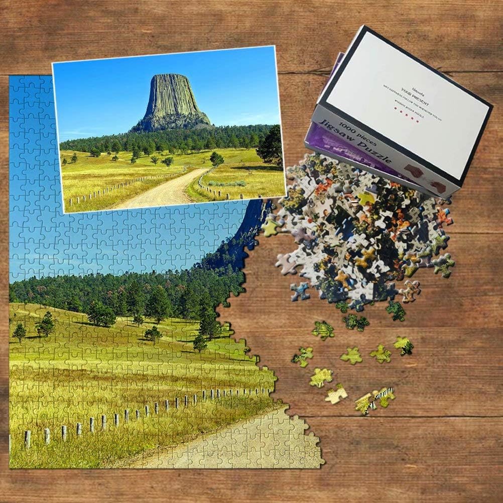 America USA Devils Tower Wyoming Jigsaw Puzzle 1000 Piece Travel Souvenir Wooden