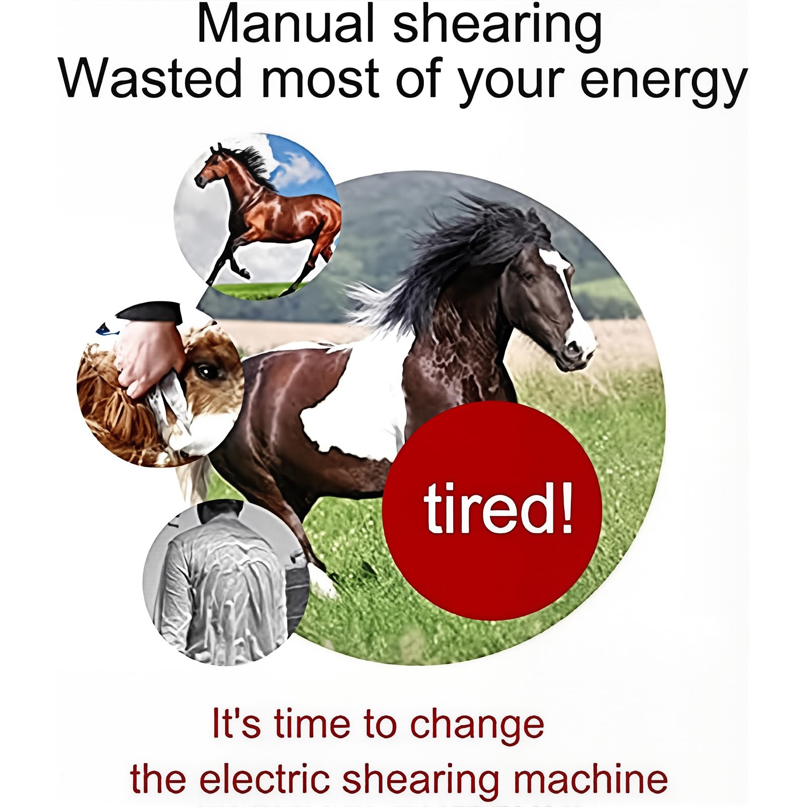 Cortadora Eléctrica para Caballos 690W Esquiladora para Ganado con Ajuste de 6 Velocidades 2800rpm Ancho de Hoja 78mm Recortadora Profesional Equina para Caballos Ovejas Ganado Mascotas Blue