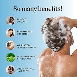 Tea Tree Mint Shampoo and Conditioner - Tea Tree Rosemary Mint Shampoo and Conditioner Set Sulfate Free for Daily Clarifying and Dry Scalp Care - Paraben and Sulfate Free Shampoo and Conditioner 16oz