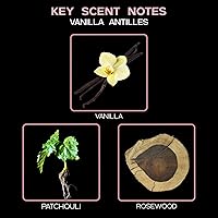 Vista 32 de LOVSPA Aceite Difusor Ocean Driftwood - Aceites Esenciales de Lujo para Recarga de Difusor y Ambientador en Aerosol para Habitaciones - Fragancia