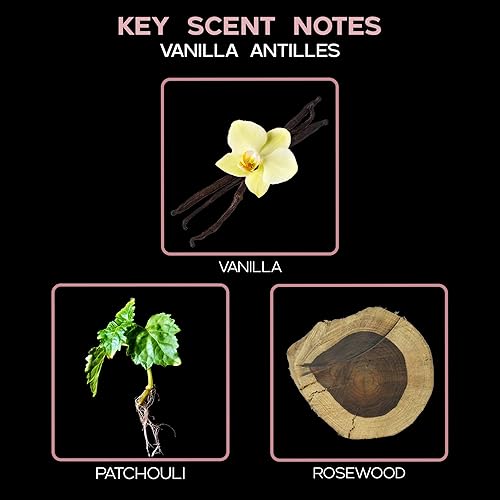 Miniatura 32 de LOVSPA Aceite Difusor Ocean Driftwood - Aceites Esenciales de Lujo para Recarga de Difusor y Ambientador en Aerosol para Habitaciones - Fragancia