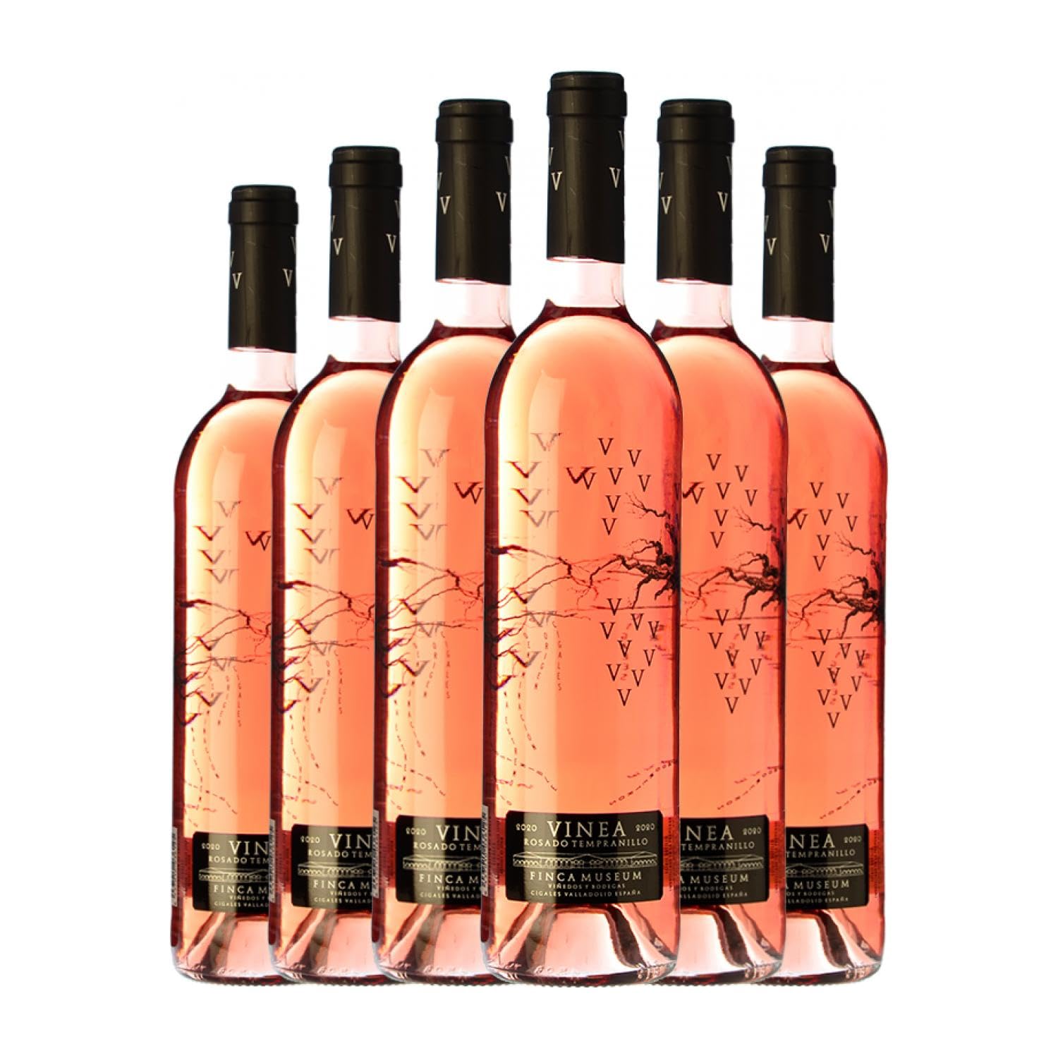 Museum Vinea Rosado Tempranillo Cigales 75 cl Vino rosado (Caja de 6 Botellas de 75 cl)