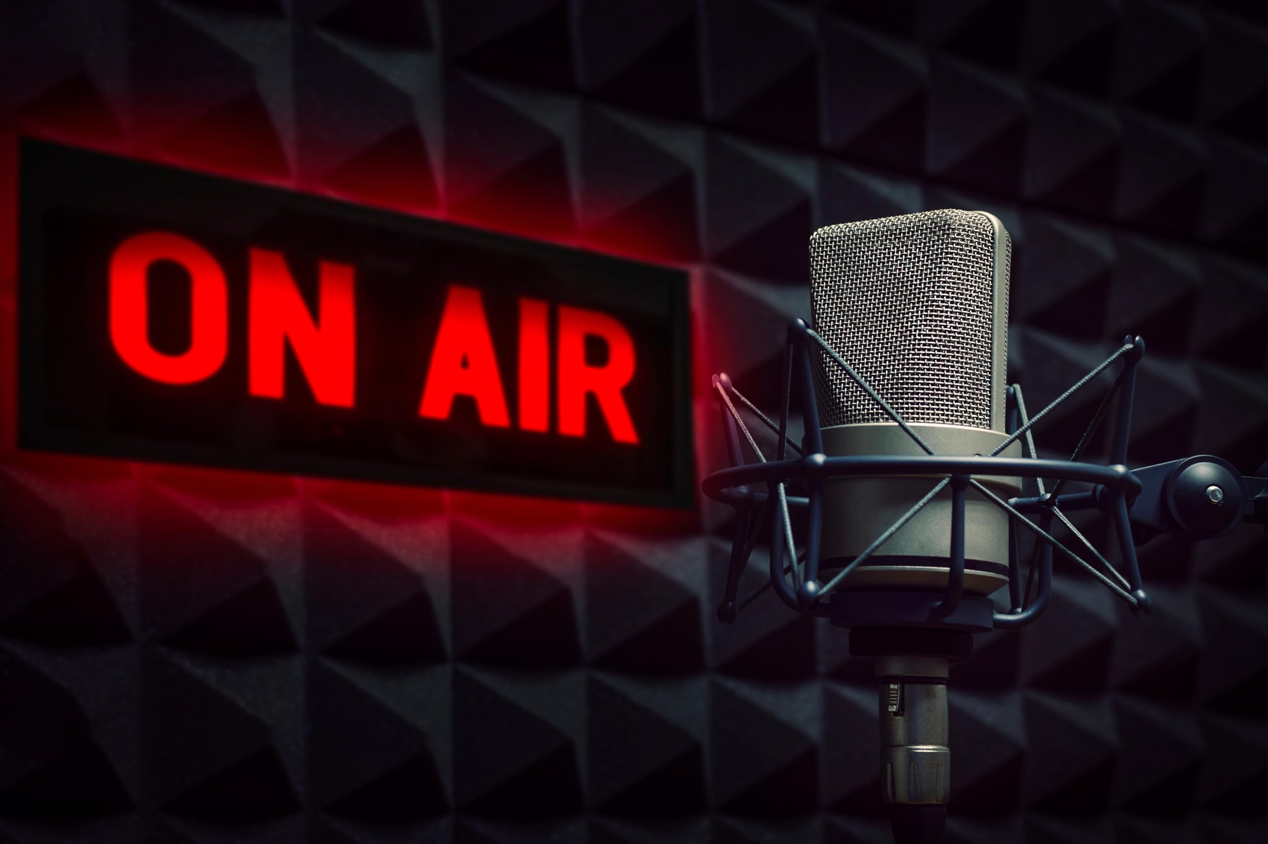 Professioneller Mikrofon-Hintergrund, Radiosender, Studio, On-Air-Schild, TV-Show, Newscaster, Studio, Hintergrund, Reporter, Interview, Bühne, Videoaufnahme, Dekoration, Fotoautomaten