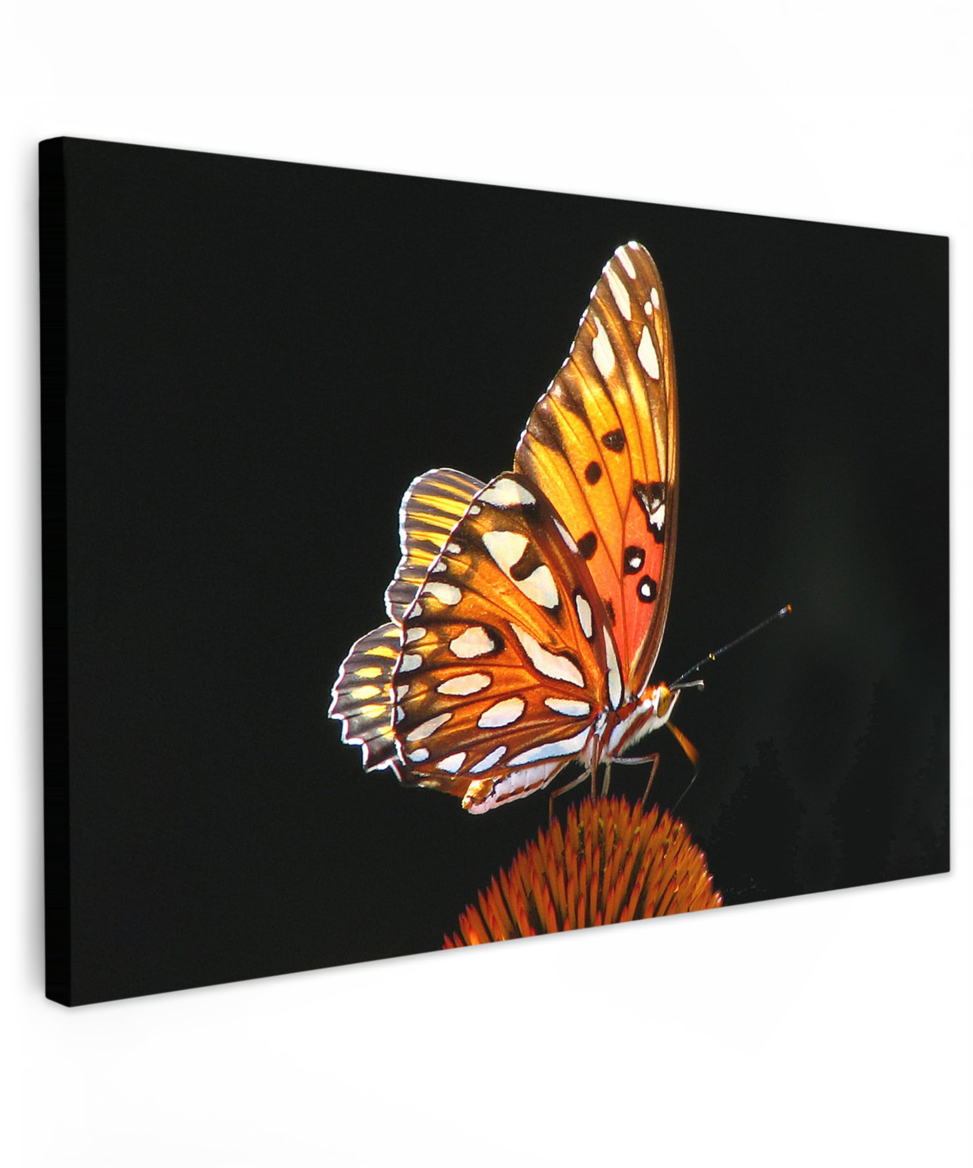 MuchoWow© Canvas Wall Art 24"x16" / 60x40 cm Decor Prints for Living Room Decorative Canvases Hall Artwork Butterfly - Flowers - Insect - Portrait - Black - Orange — image 1