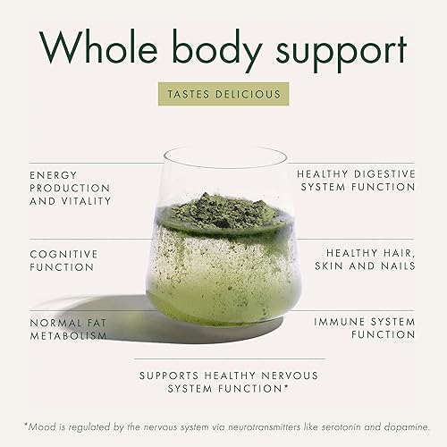 Miniatura 6 de WelleCo The Super Elixir, polvo de verduras diarias con probióticos, superalimentos y alimentos integrales, mezcla de bebidas sin sabor para la