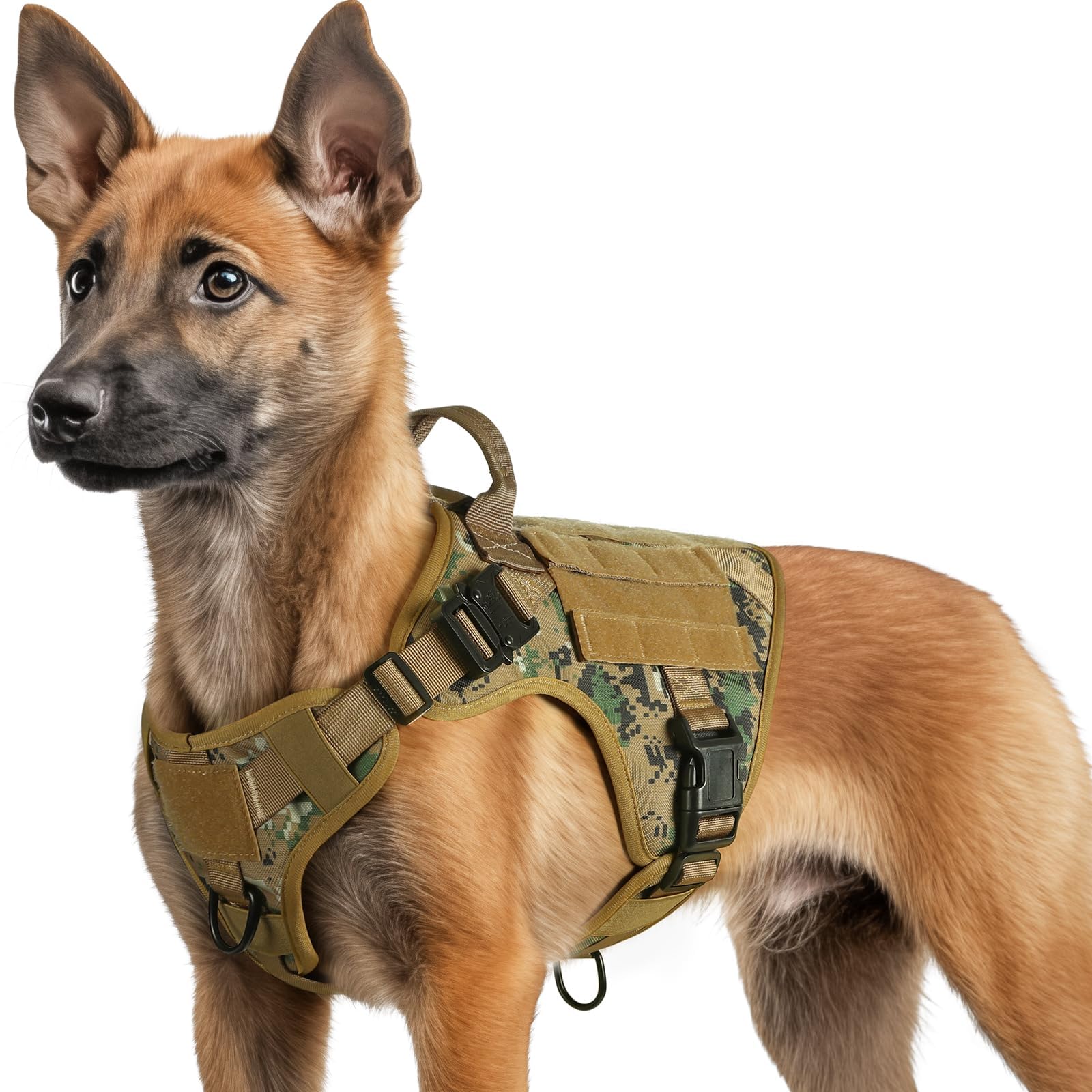 rabbitgoo Tactical Dog Harness for Small, Heavy Duty Pet Harness with Handle, No-Pull Service Vest Small Breed, Adjustable Military Dog Vest for