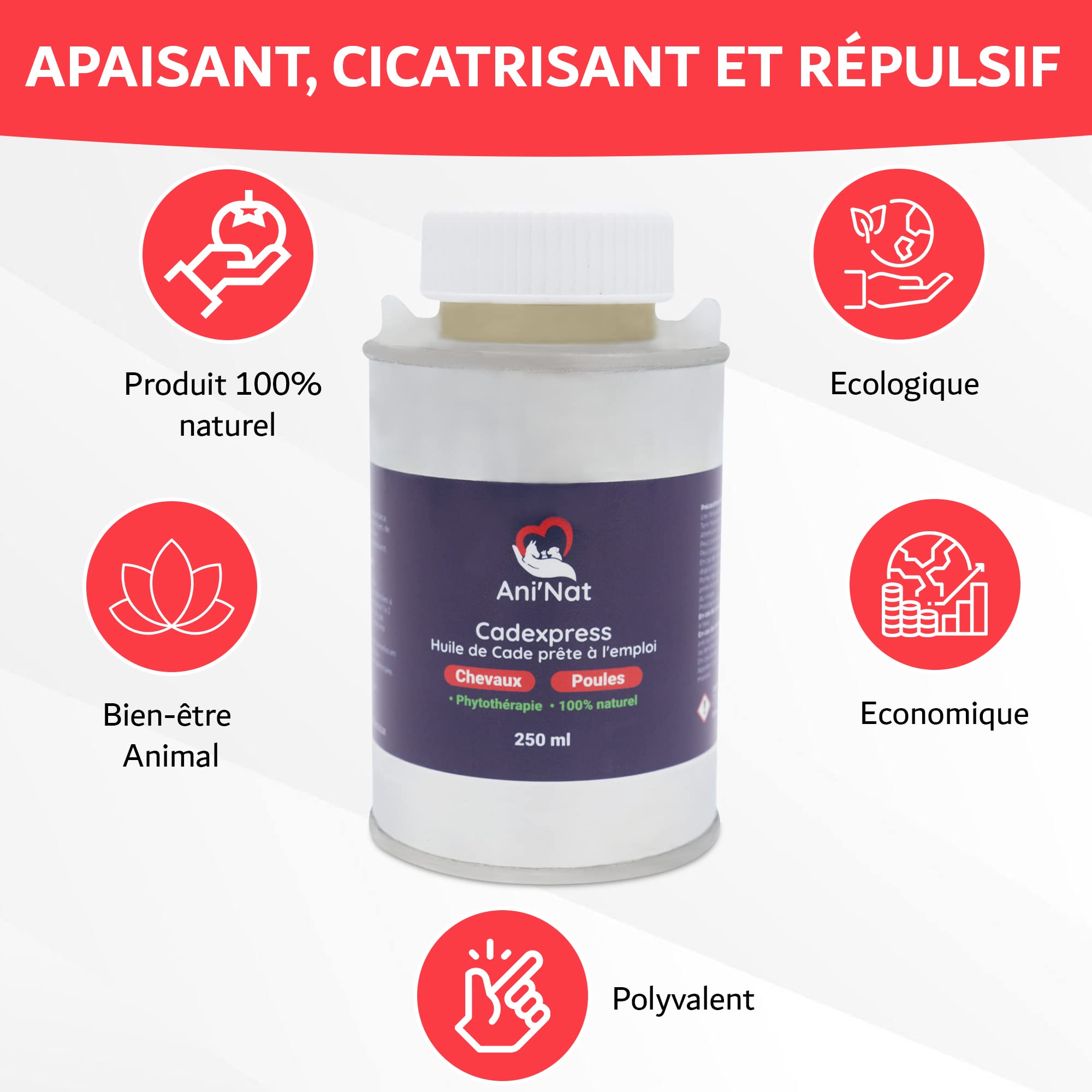 AniNat CADEXPRESS - Olio di Cade pronto all'uso, pennello applicatore avvitato nel tappo, cura delle zampe di gallina, zoccoli cavalli, soles ammorbidite, dermite – barattolo 250 ml (250 ml)