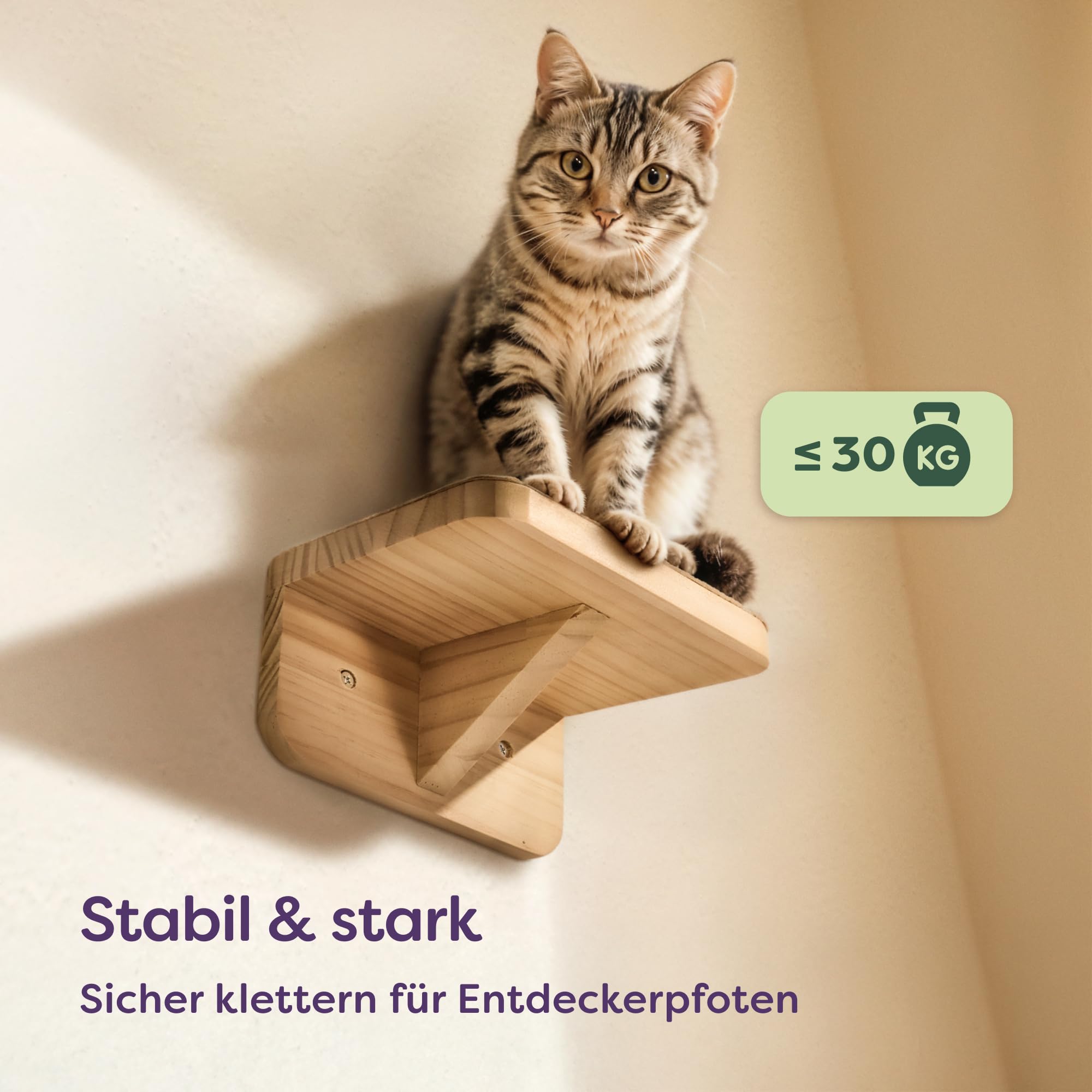 Knupis Katzen Kletterwand 3er Set – FSC® Kiefernholz für Spiel & Abenteuer – Stabile Katzentreppe bis 30 kg mit rutschfestem Vlies – Einfache Montage – Beige