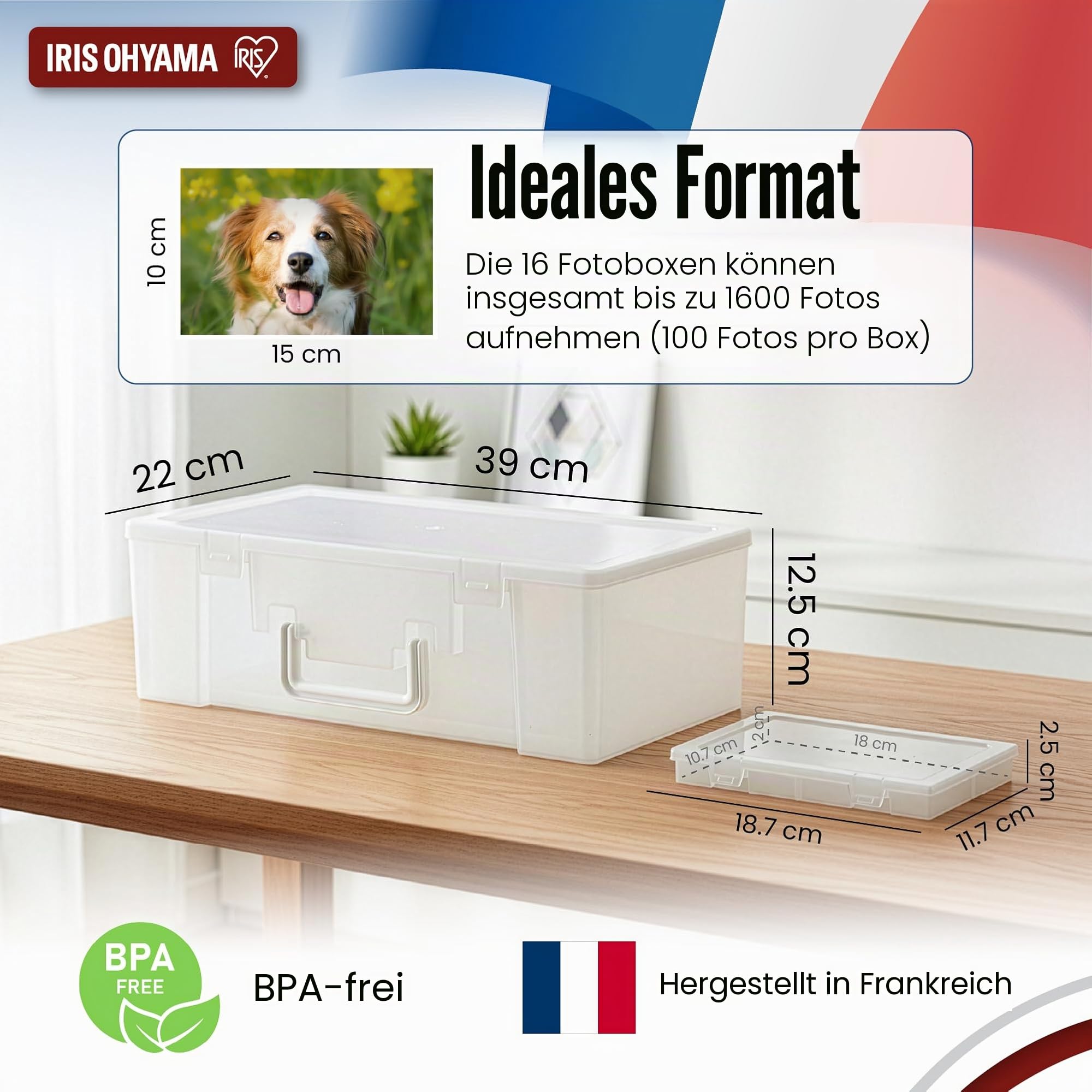 Iris Ohyama, 2er-Set Fotobox mit 16 Innenboxen jeweils, Fassungsvermögen 2560 Fotos (80 per Innerbox), Stapelbar mit Griff und sicherem Verschluss, BPA-frei, Fotobox Aufbewahrungsbox, KP-XLPHO16