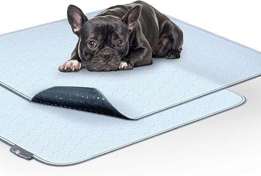 Paw Inspired Washable Pee Pads for Dogs 2 Pack, Leakproof, Non-Slip Reusable Puppy Pads for Potty Training, Whelping, Waterproof Mat 34x36 Inch, Pack of 2