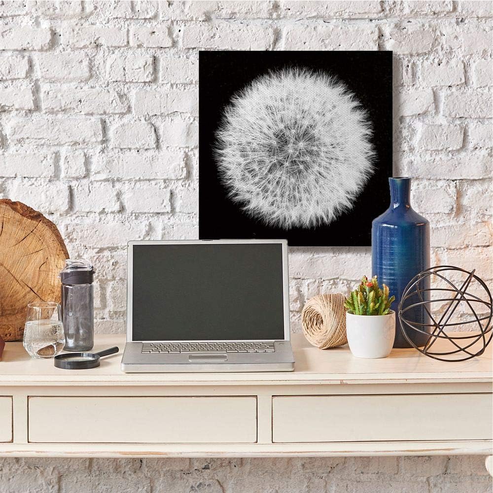 Stupell Industries Dandelion Floral Fluff Flower Black White Photograph, Designed by Aledanda Wall Art, 24 x 24, Canvas