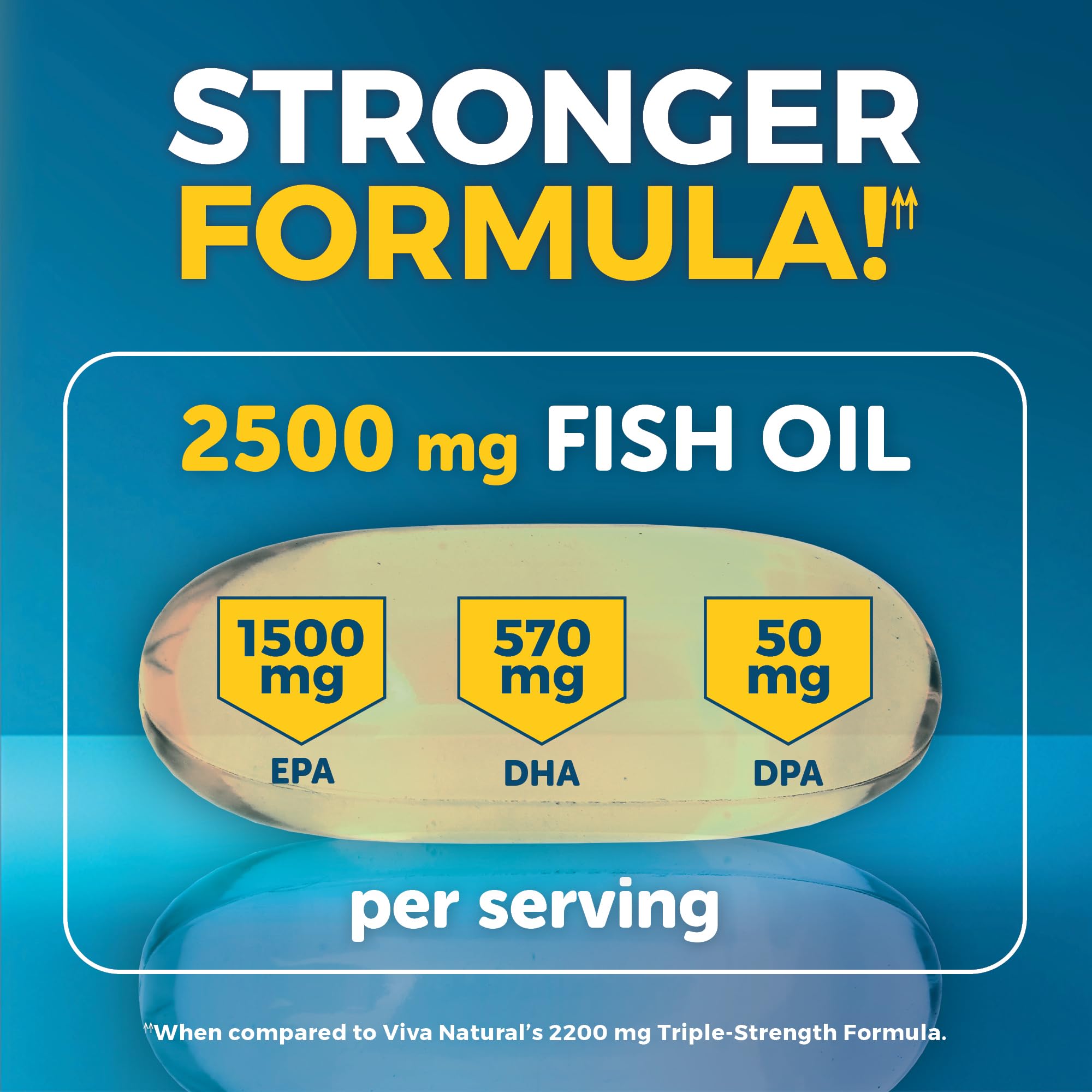 Viva Naturals Omega 3 Fish Oil Supplement for Women and Men - 2500 mg Triple Strength Fish Oil Pills with Re-Esterified Omega 3 Fatty Acids Including EPA, DHA DPA - 120 Pescatarian-Friendly Softgels
