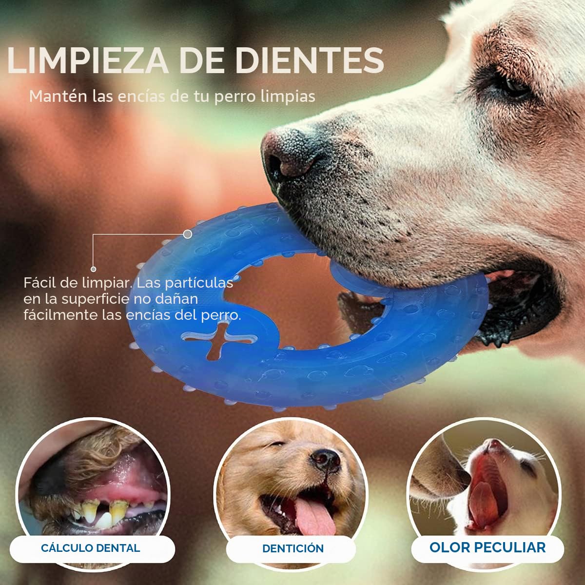 Juguete Mordedor para Cachorros, 1 Anillo de dentición y 1 Hueso de dentición congelable Perro masticable Juguetes