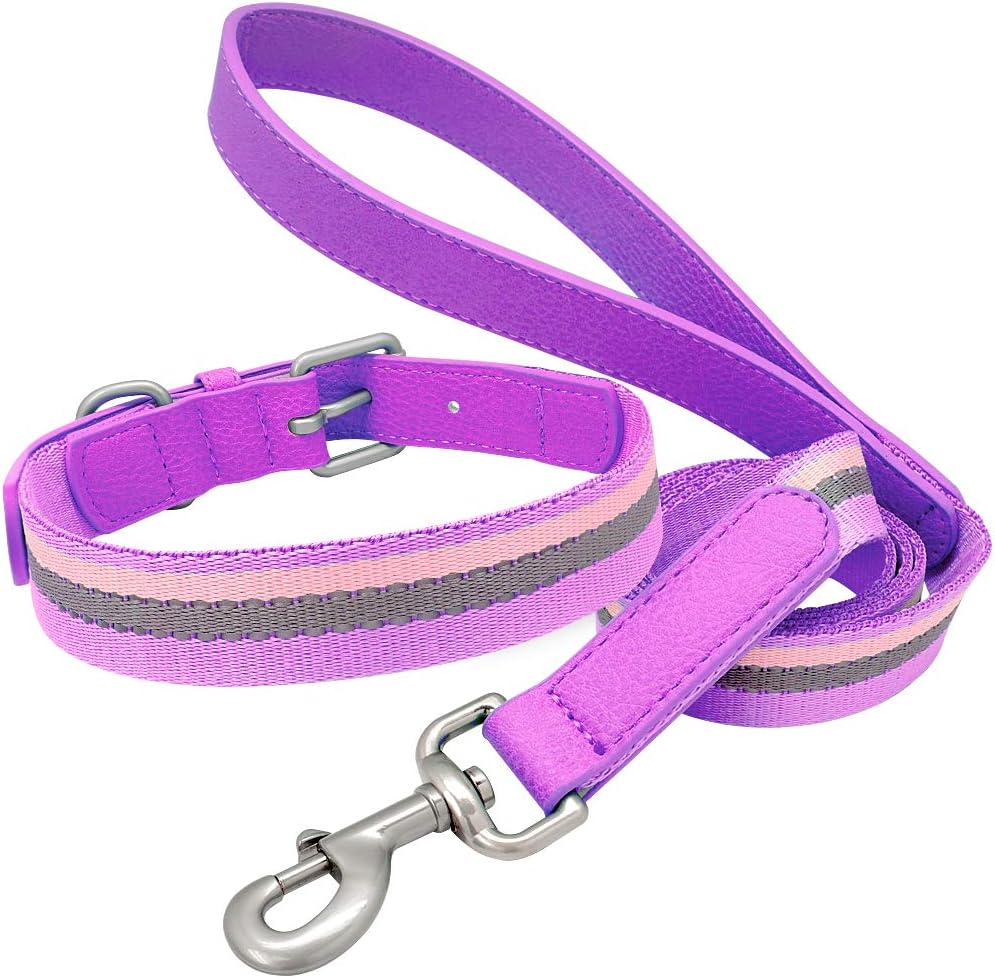 SOCHII Nylon Dog Collar and Leash Set Adjustable Reflective Strip Dog Collars and Pet Walking Lead Leash for Small Medium Dogs Pitbull Purple M
