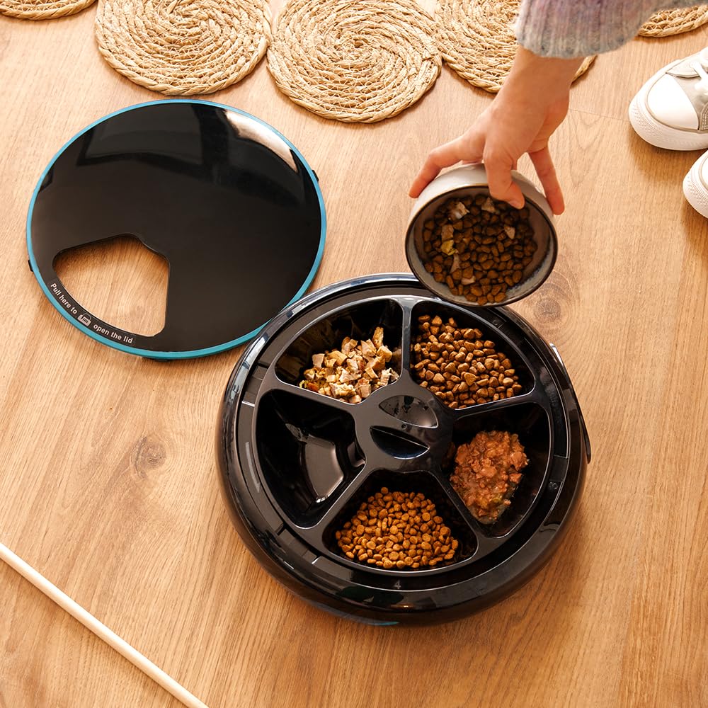 Cecotec Mangiatoia Dispenser automatico per alimenti per animali Pumba 1600 Purrfect Meal. Capacità di 1,6 l, 4 sezioni indipendenti, display LED, timer e registratore vocale