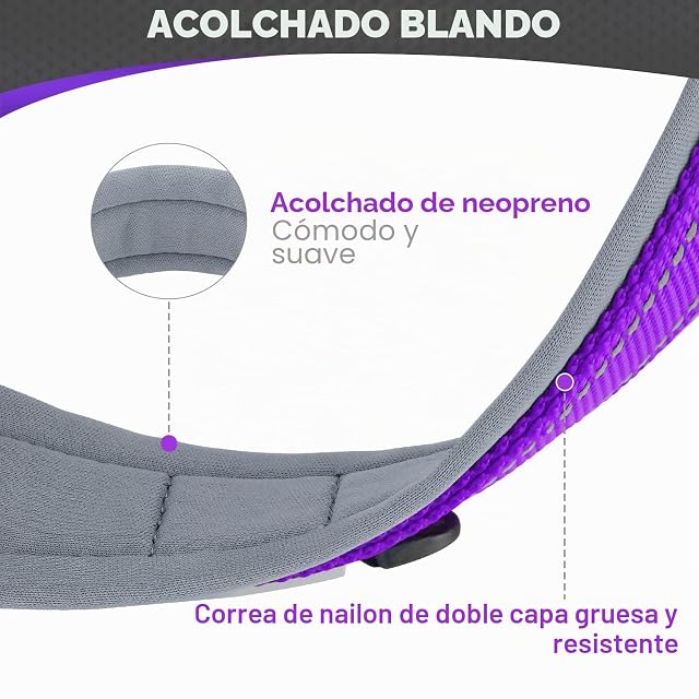 Foto 2 de 7 de Joytale Collar Perro Grande Resistente, Reflectante Ajustable de Acolchado Neopreno Nylon, Morado, L