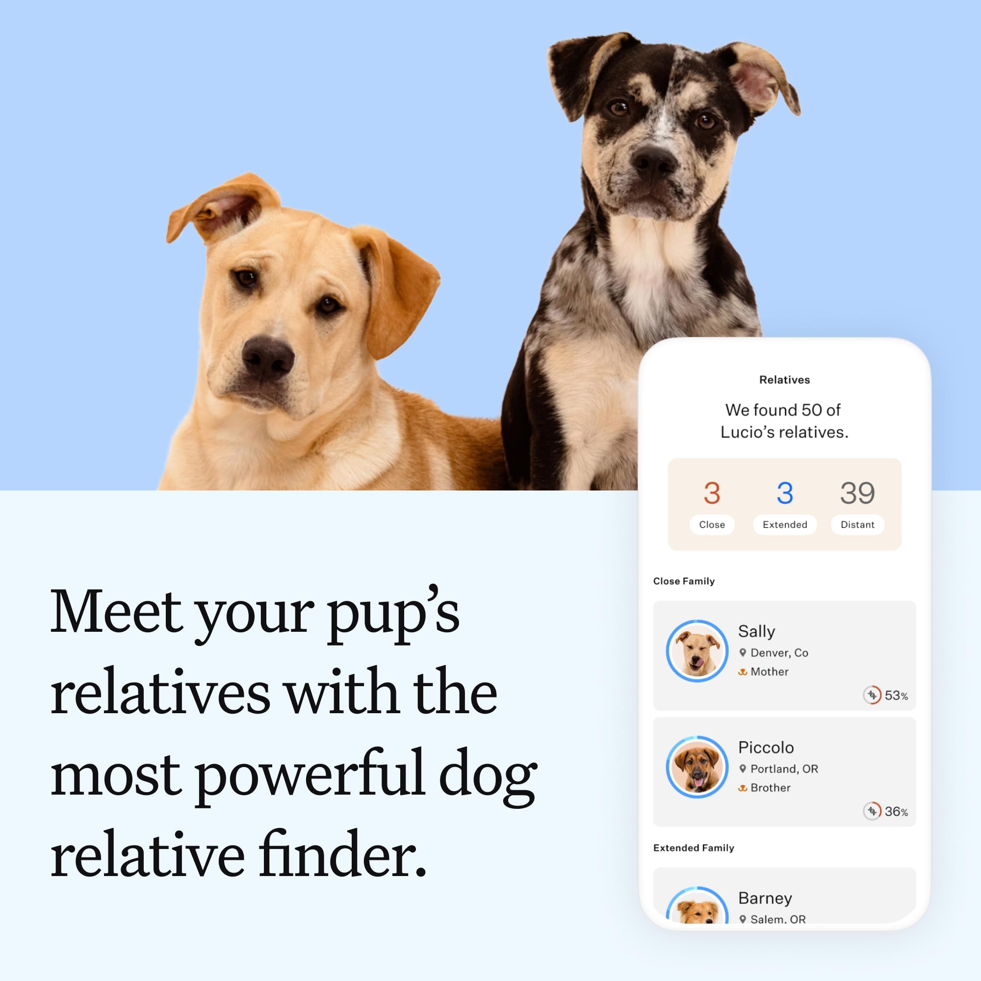 Wisdom Panel Essential Dog DNA Test Kit — Amazon image 5
