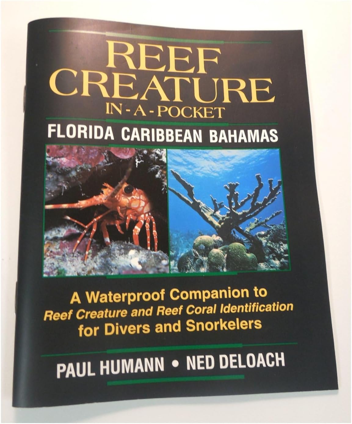 Reef Creature in-a-pocket Florida, Caribbean, Bahamas