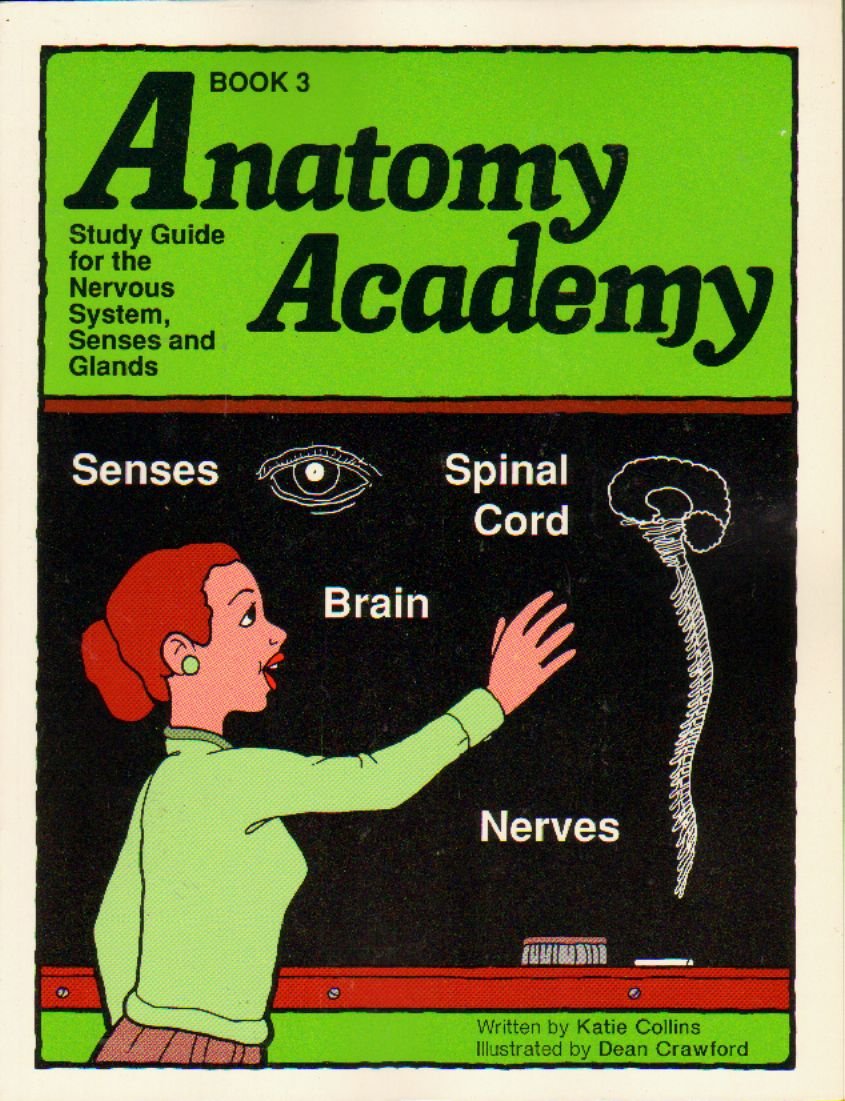 Anatomy Academy, Book 3 - Study Guide for the Nervous System,: Katie ...