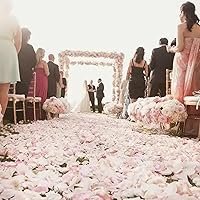 Vista 134 de CODE FLORIST 1100 pétalos de rosa de seda para el día de San Valentín, pétalos de rosa falsos para noches románticas, bodas, propuestas