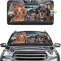 Vista 31 de GENANY Divertido parasol para parabrisas para sedán, SUV, camión (55 x 29 pulgadas), parasol de automóvil, bloquea los rayos UV, accesorios