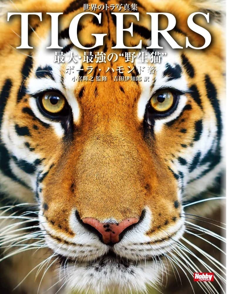 世界のトラ写真集 Tigers 最大 最強の 野生猫 ポーラ ハモンド 吉田 伊知郎 本 通販 Amazon