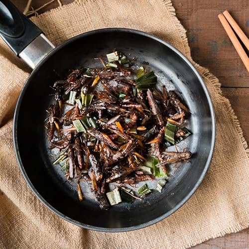 Miniatura 9 de Alebrixes | Chapulines From Oaxaca 2 oz (57g) | Saltamontes con sabor a Adobo | Insectos comestibles gourmet frescos de primera calidad | Sabor