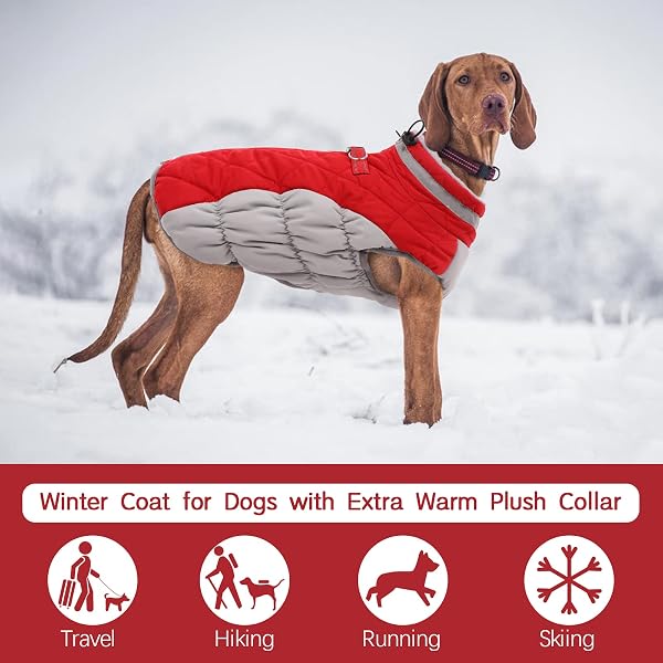 Kuoser Winter Dog Coat, Waterproof Warm Dog Jacket with Fleece Lining, Reflective Vest with Fur Collar & Zipper, Windproof Pets Outdoor Clothing - 4