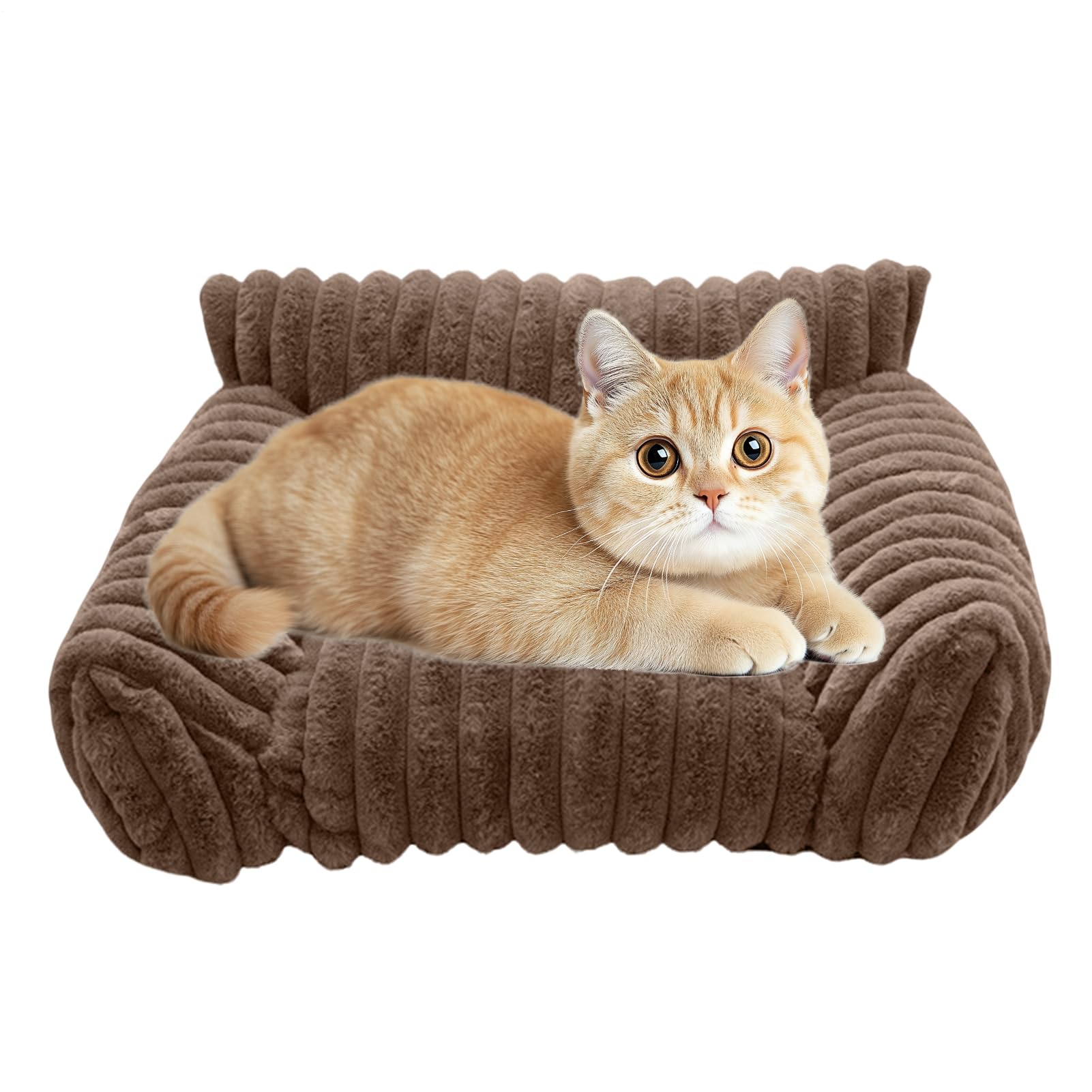 Niche canapé pour chats et chiens doux anti-rongeurs pour maison
