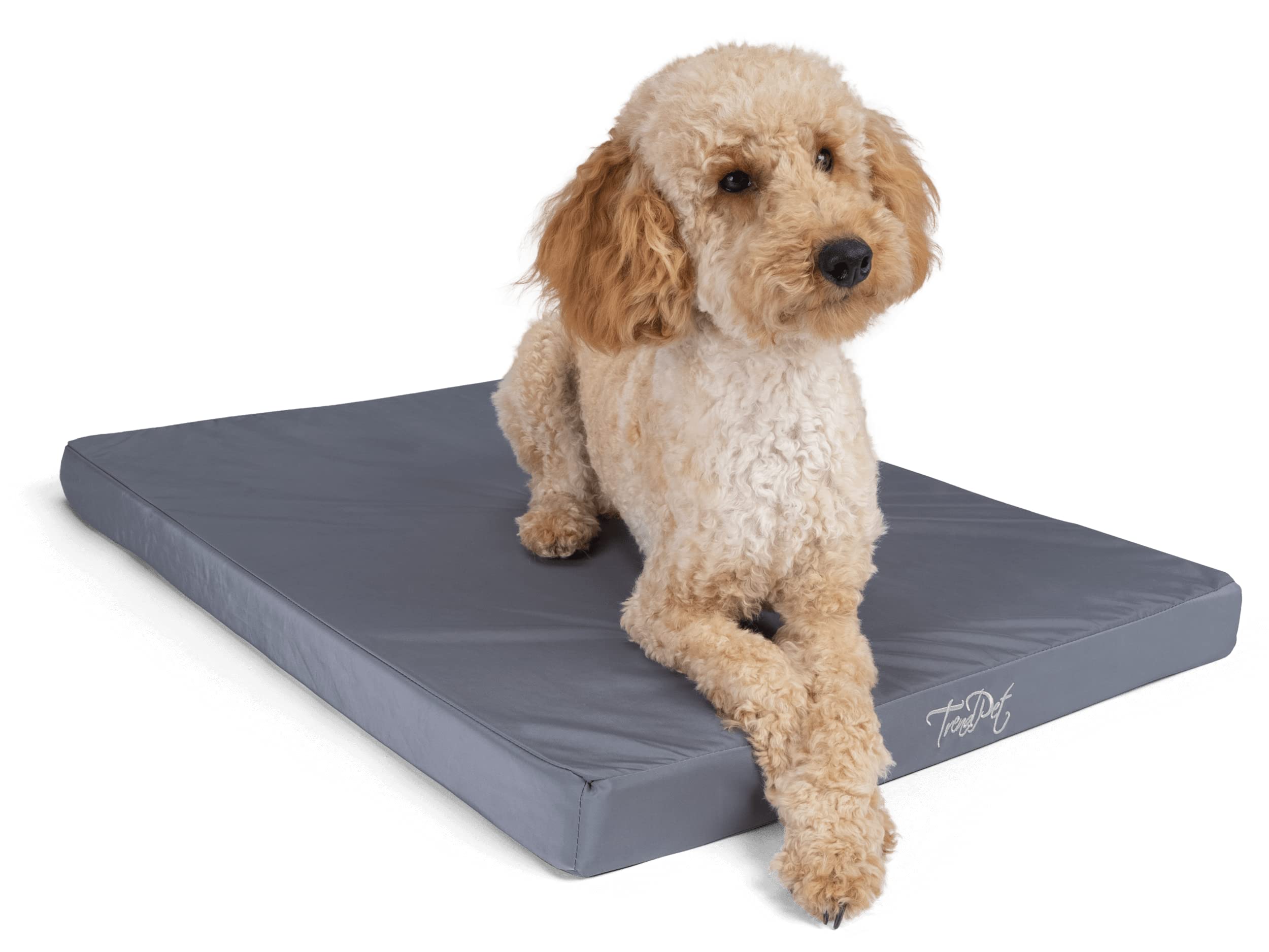 TrendPet VitaMedog Wasserabweisende orthopdische Matratze fr Hunde  (130x90cm) : Amazon.de: Haustier