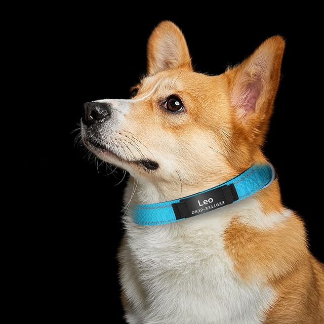 Foto 7 de 7 de Collares reflectantes personalizados para perro