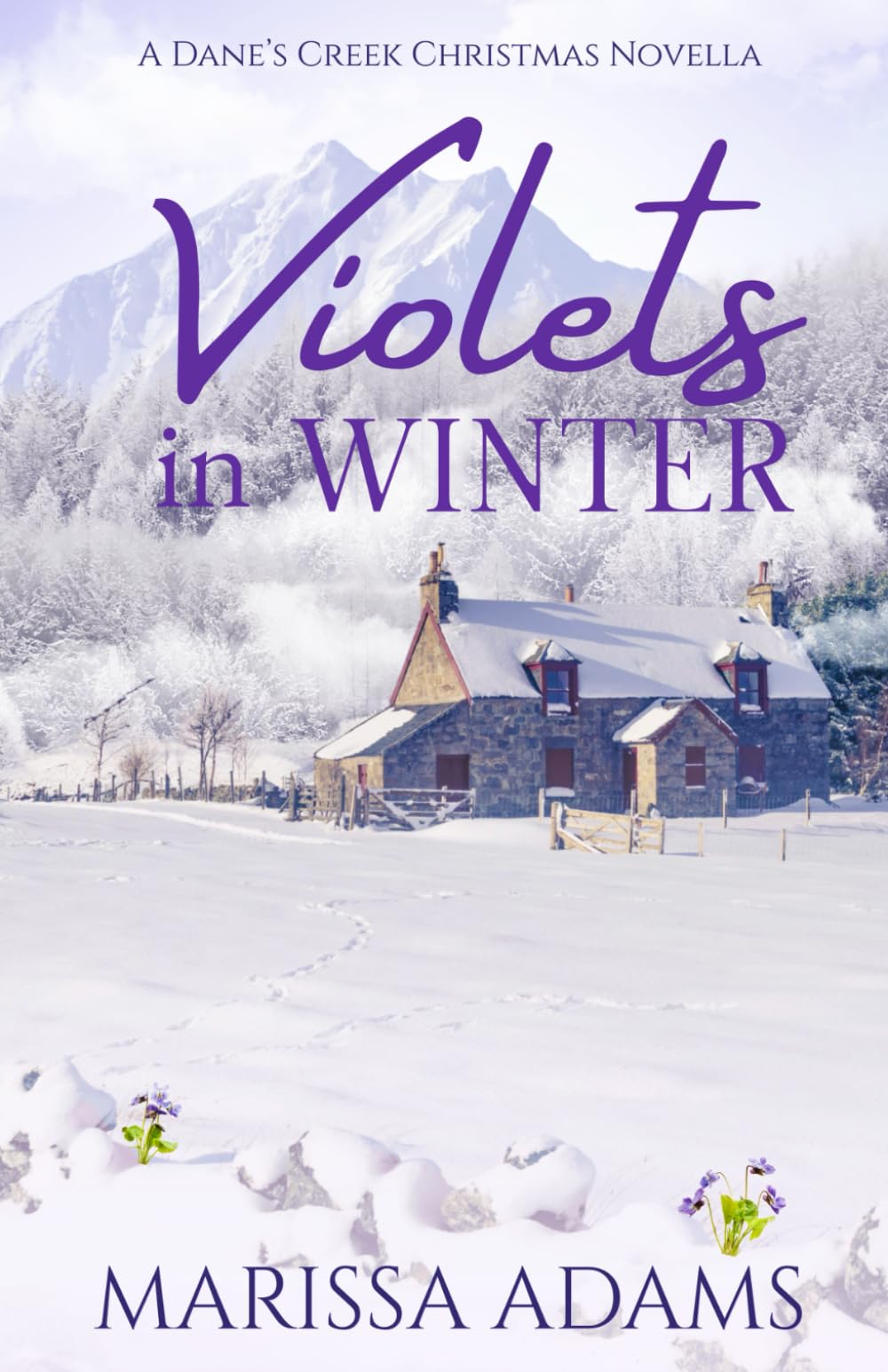 Violets in Winter: A Dane's Creek Christmas Novella