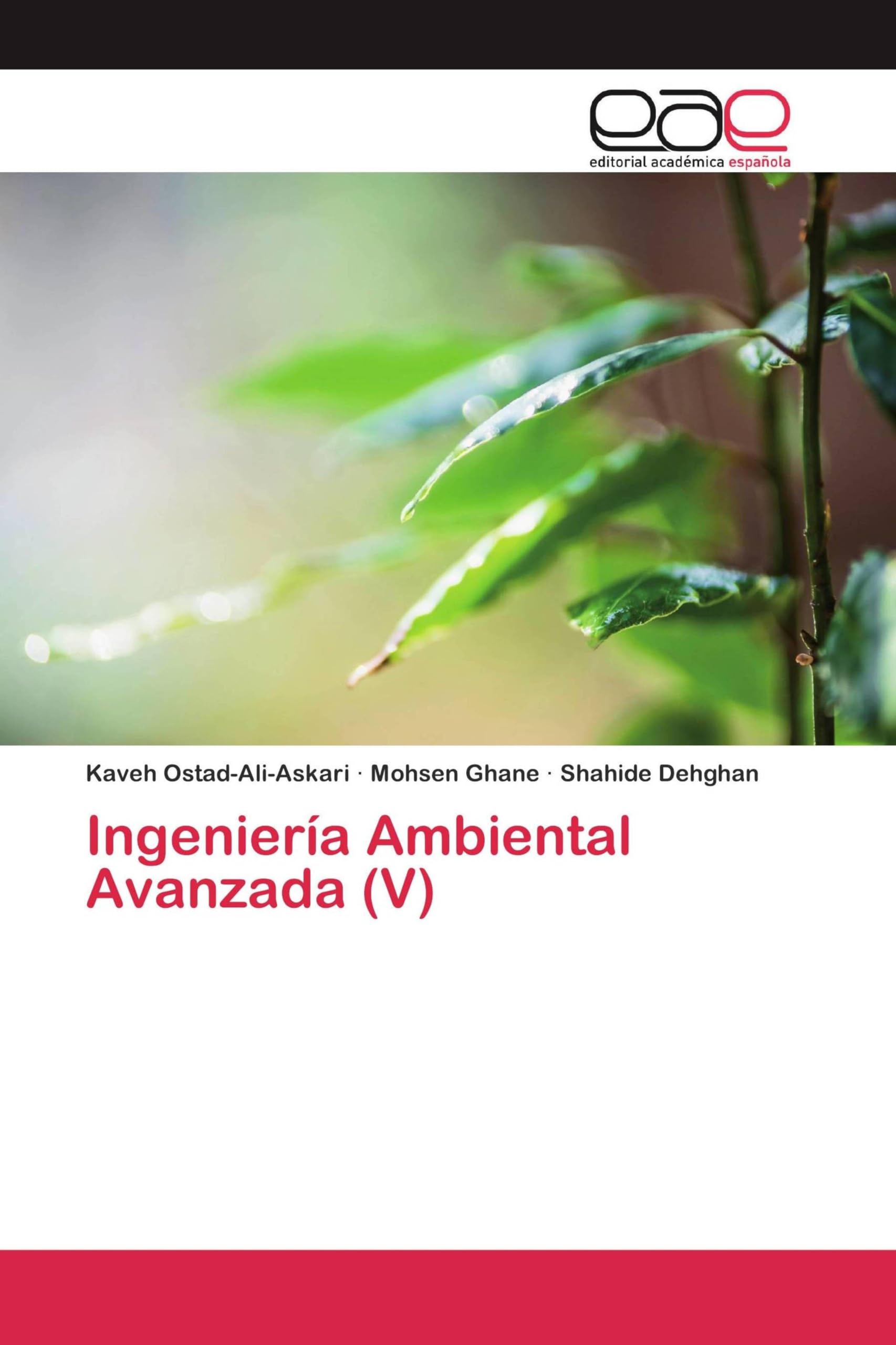 Ingeniería Ambiental Avanzada (V)