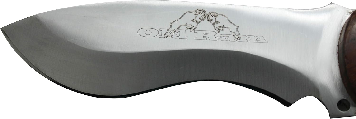 Collection Durable Fixed Blade Full Tang Heavy Duty Hunting Knife (529)