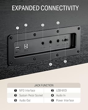 Donner DDP-100 88-Key Weighted Action Digital Piano for Beginner Bundle with Piano Keyboard Stand, Power Adapter, Triple Pedals, MP3 Function, USB-MIDI, 2 Headphone Jacks Black