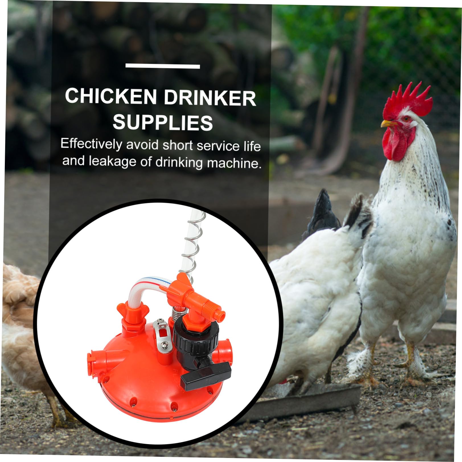 GALPADA Abbeveratoio Automatico per Pollame con Valvola di Riduzione Pressione Accessorio Sicuro e Leggero per Gabbie di Galline Distributore d Acqua Professionale per Allevamento