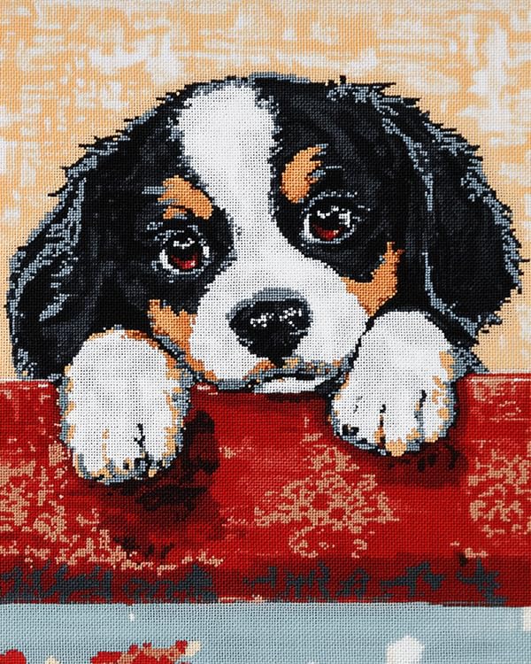 Kit toile pré-imprimé noel broderie point de croix débutant chien