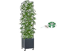 Raised Garden Bed with Tomato Cage: Self Watering Planter for Outdoor