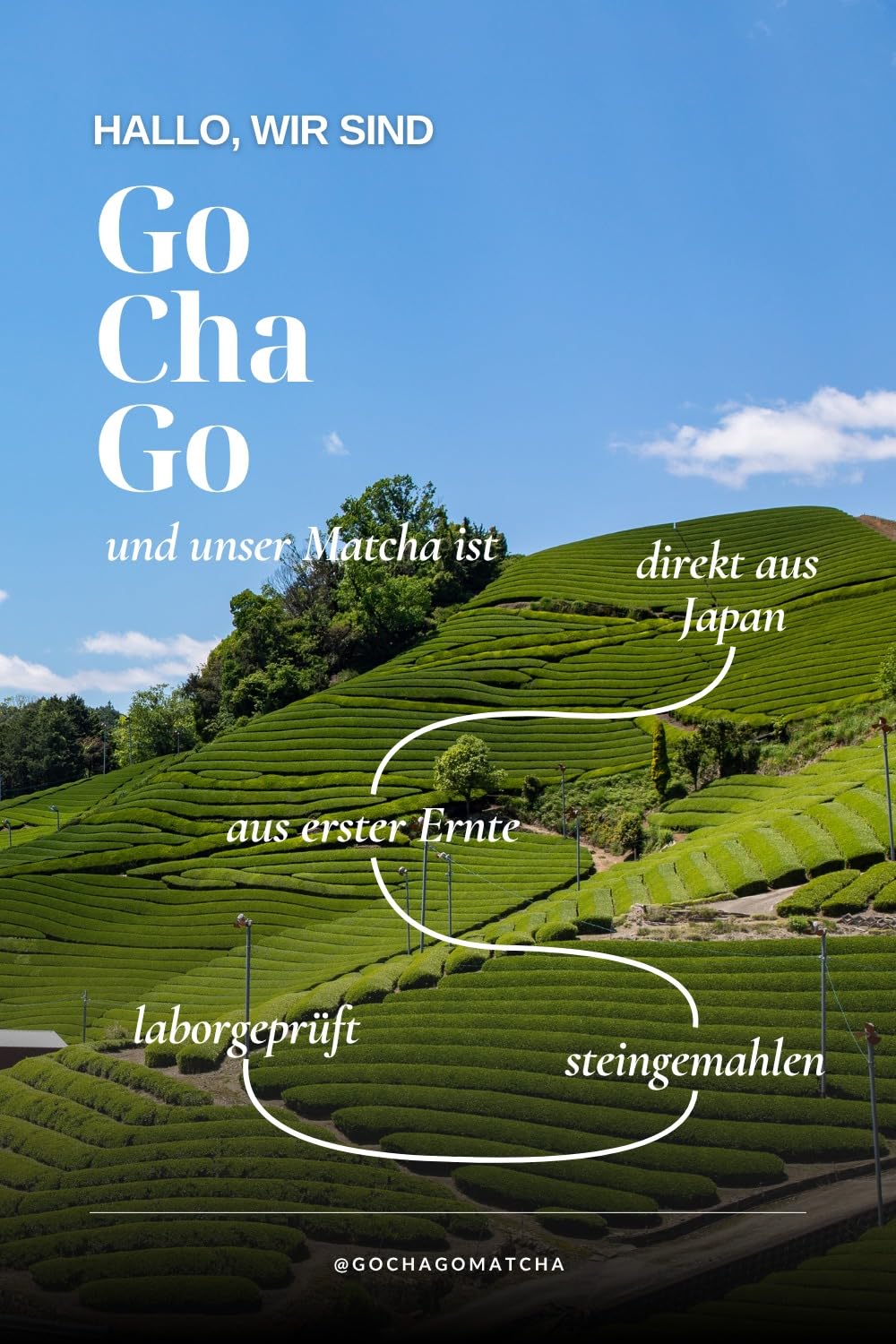GoChaGo Eikyū Matcha – Ceremonial Grade, Kagoshima Japan, 30g | Vollmundig ohne Bitterkeit