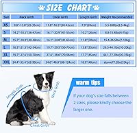 Vista 5 de EMUST Chalecos salvavidas ajustables para perros pequeños con flotabilidad mejorada, chaleco de natación para perros pequeños con asa de rescate Azul