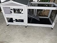 Review Image by Guadalupe Guadalupe