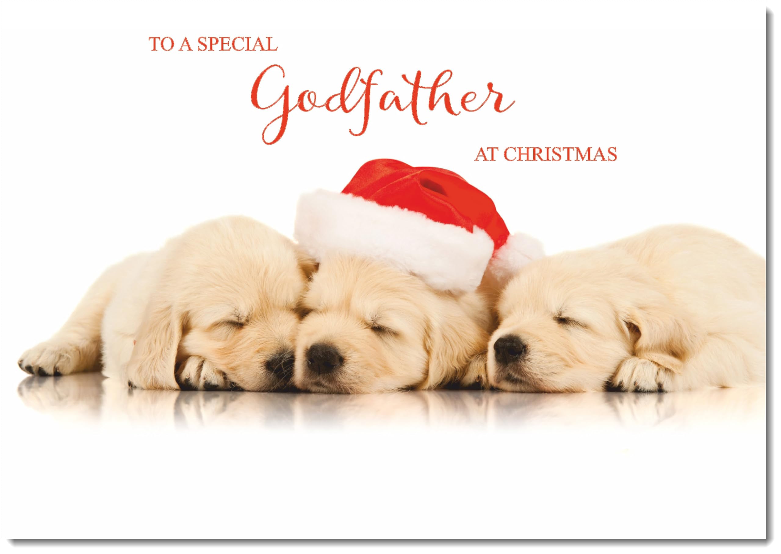 doodlecards Godfather Christmas Card Puppies with Santa Hat Large A4 Size Christmas Card for Godfather with Plain Envelope